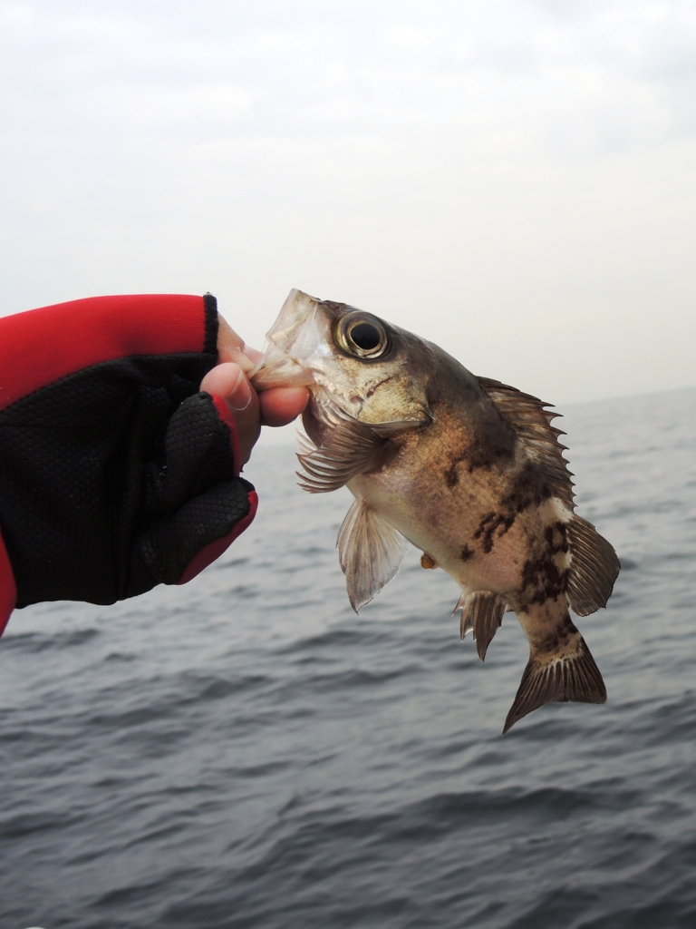 f:id:satoshi_cs12:20160305140007j:plain