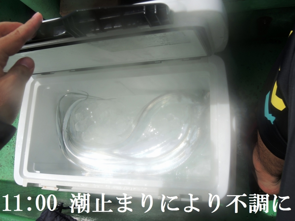 f:id:satoshi_cs12:20160820204814j:plain