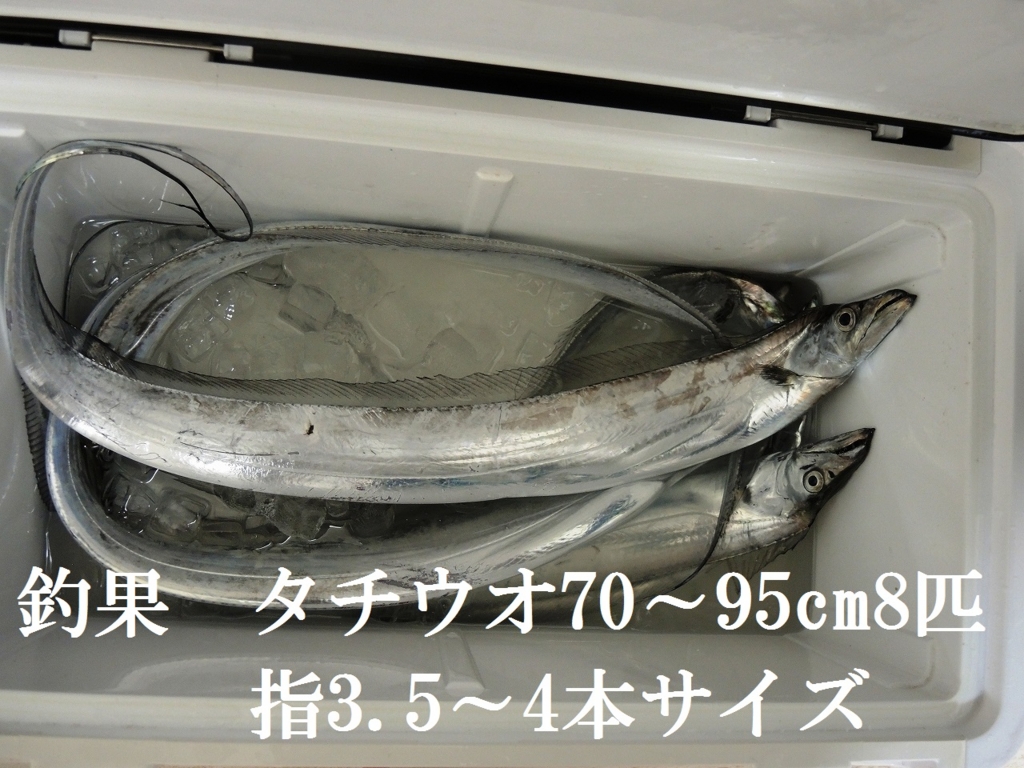 f:id:satoshi_cs12:20160820205036j:plain