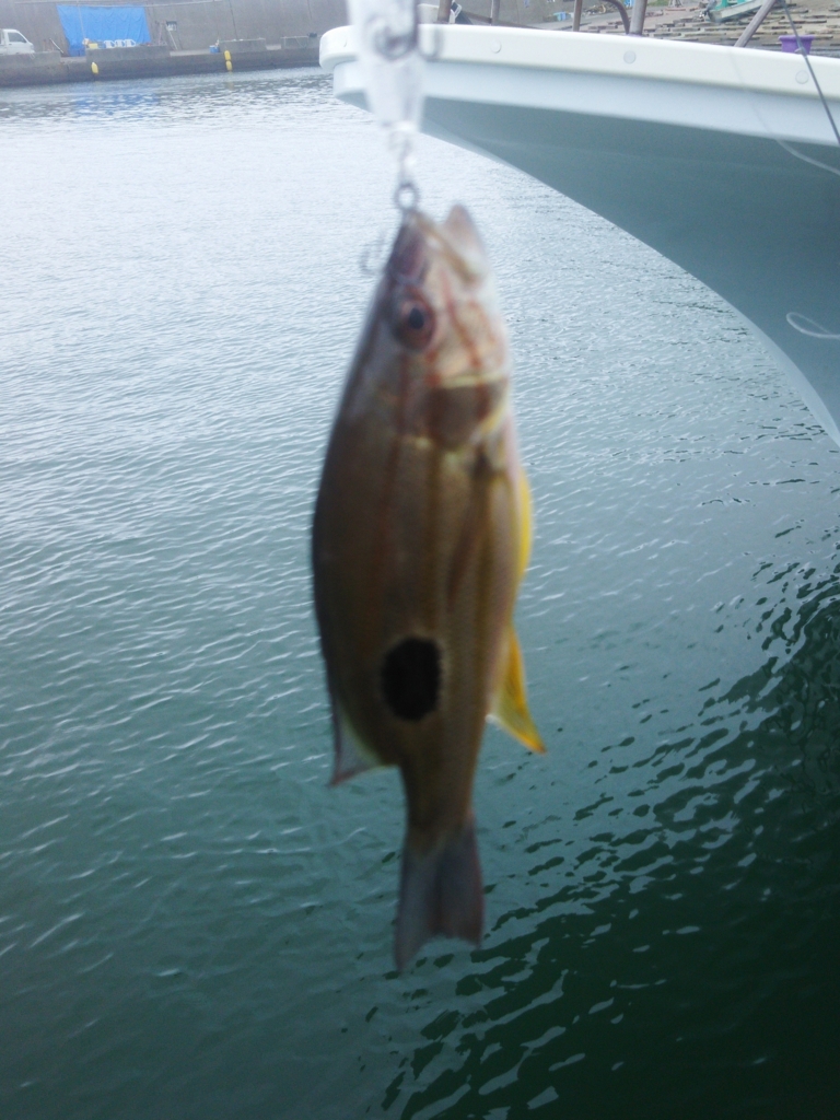 f:id:satoshi_cs12:20161008111217j:plain