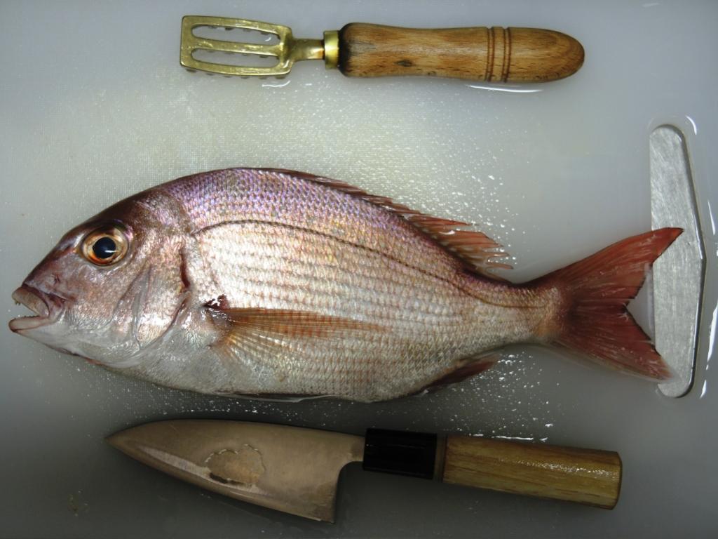 f:id:satoshi_cs12:20161008203228j:plain