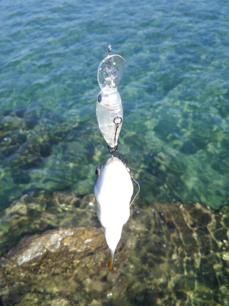 f:id:satoshi_cs12:20161015125126j:plain f:id:satoshi_cs12:20161015125126j:plain