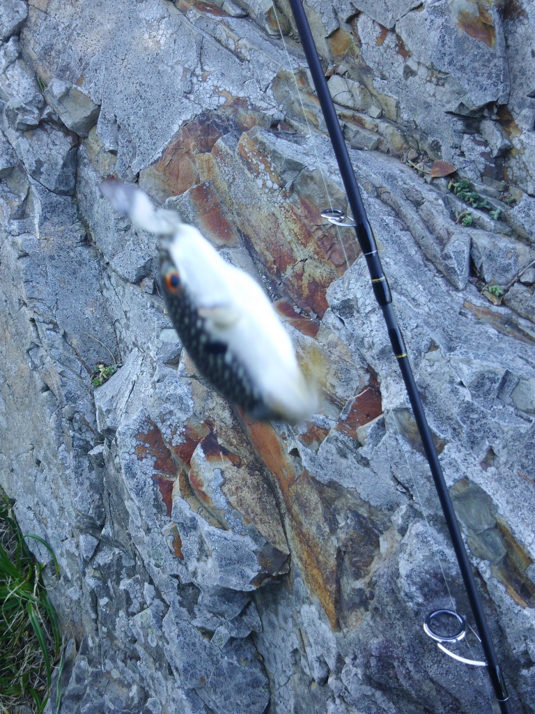 f:id:satoshi_cs12:20161015134907j:plain f:id:satoshi_cs12:20161015134907j:plain