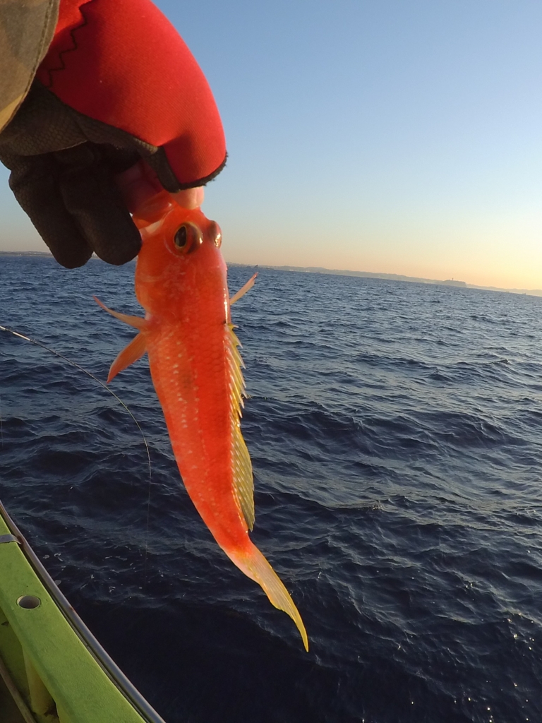 f:id:satoshi_cs12:20170107073156j:plain f:id:satoshi_cs12:20170107073156j:plain