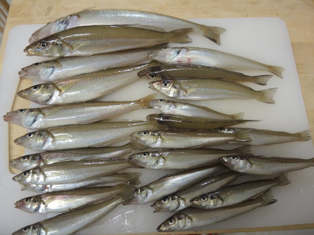 f:id:satoshi_cs12:20170708180342j:plain