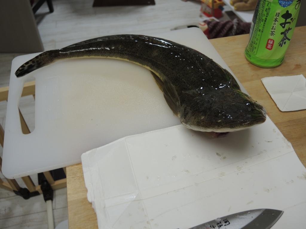 f:id:satoshi_cs12:20170708214857j:plain