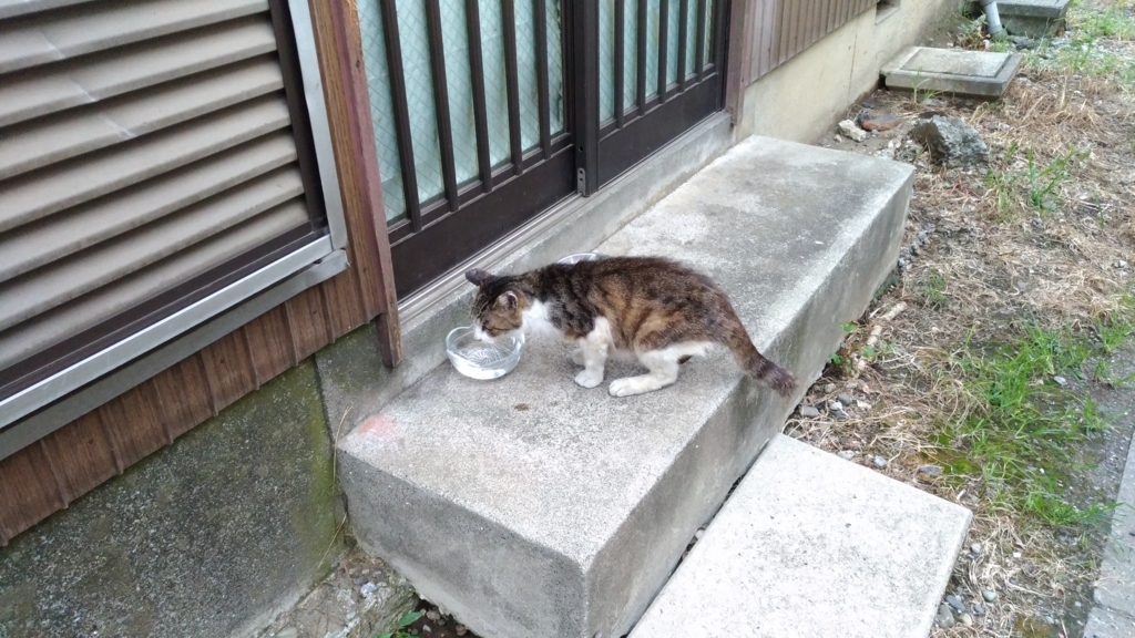 f:id:satoshi_cs12:20170803180350j:plain