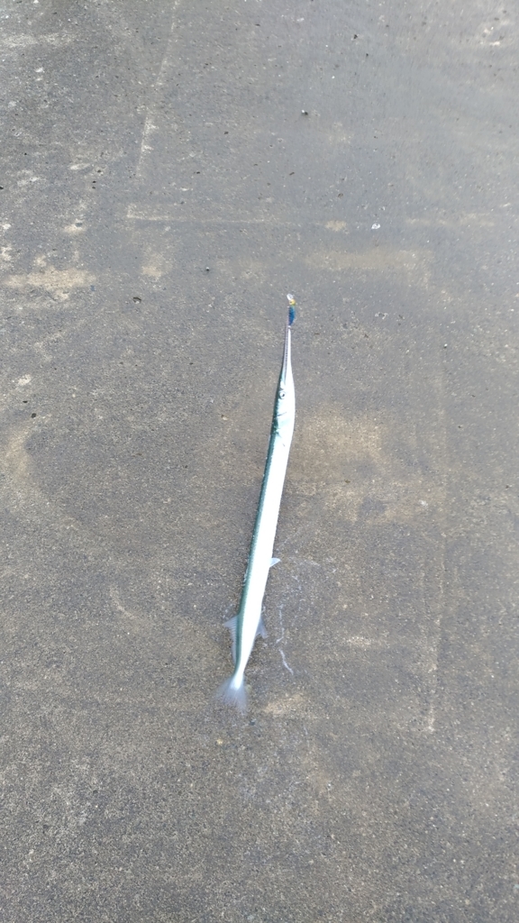 f:id:satoshi_cs12:20170906144701j:plain