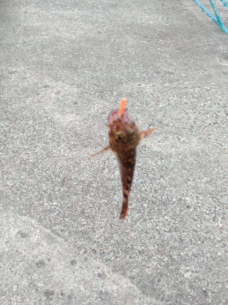 f:id:satoshi_cs12:20180219170207j:plain f:id:satoshi_cs12:20180219170207j:plain