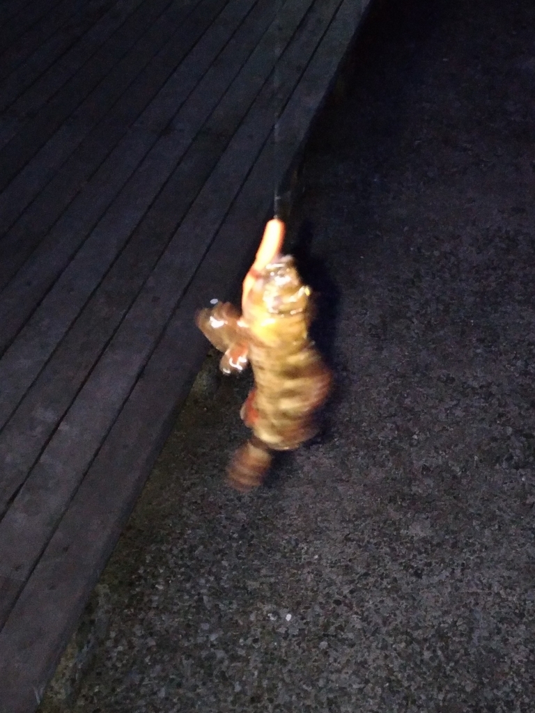 f:id:satoshi_cs12:20180219175229j:plain f:id:satoshi_cs12:20180219175229j:plain