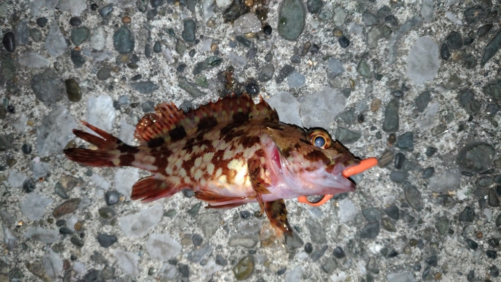 f:id:satoshi_cs12:20180219175701j:plain f:id:satoshi_cs12:20180219175701j:plain