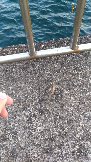 f:id:satoshi_cs12:20190101144647j:image