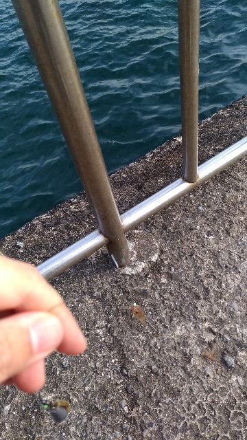 f:id:satoshi_cs12:20190101144741j:image