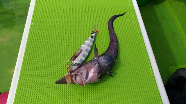 f:id:satoshi_cs12:20190324221835j:image