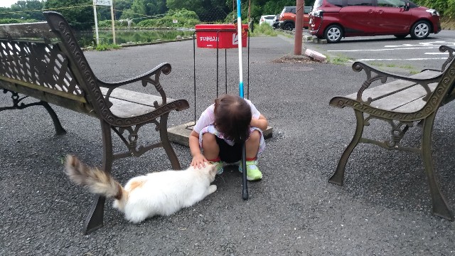 f:id:satoshi_cs12:20190717072719j:image