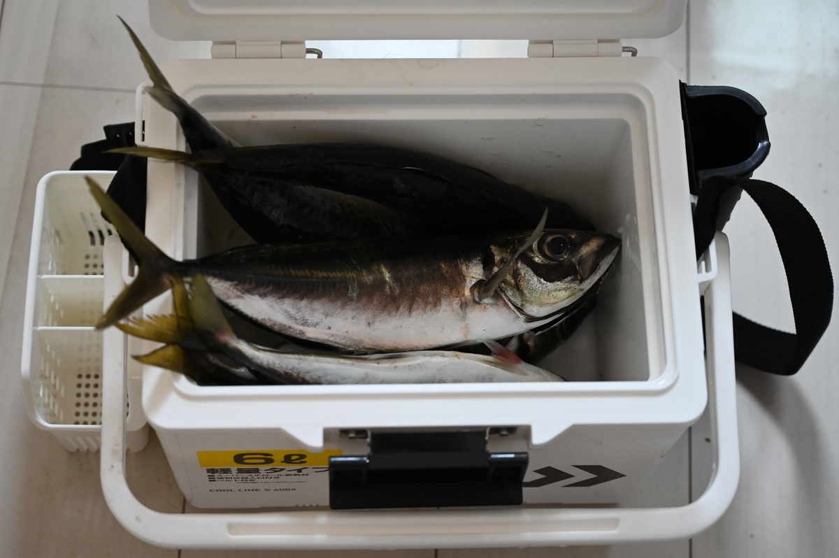 f:id:satoshi_cs12:20190803161225j:plain f:id:satoshi_cs12:20190803161225j:plain