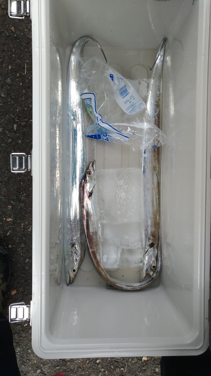 f:id:satoshi_cs12:20191021115412j:plain