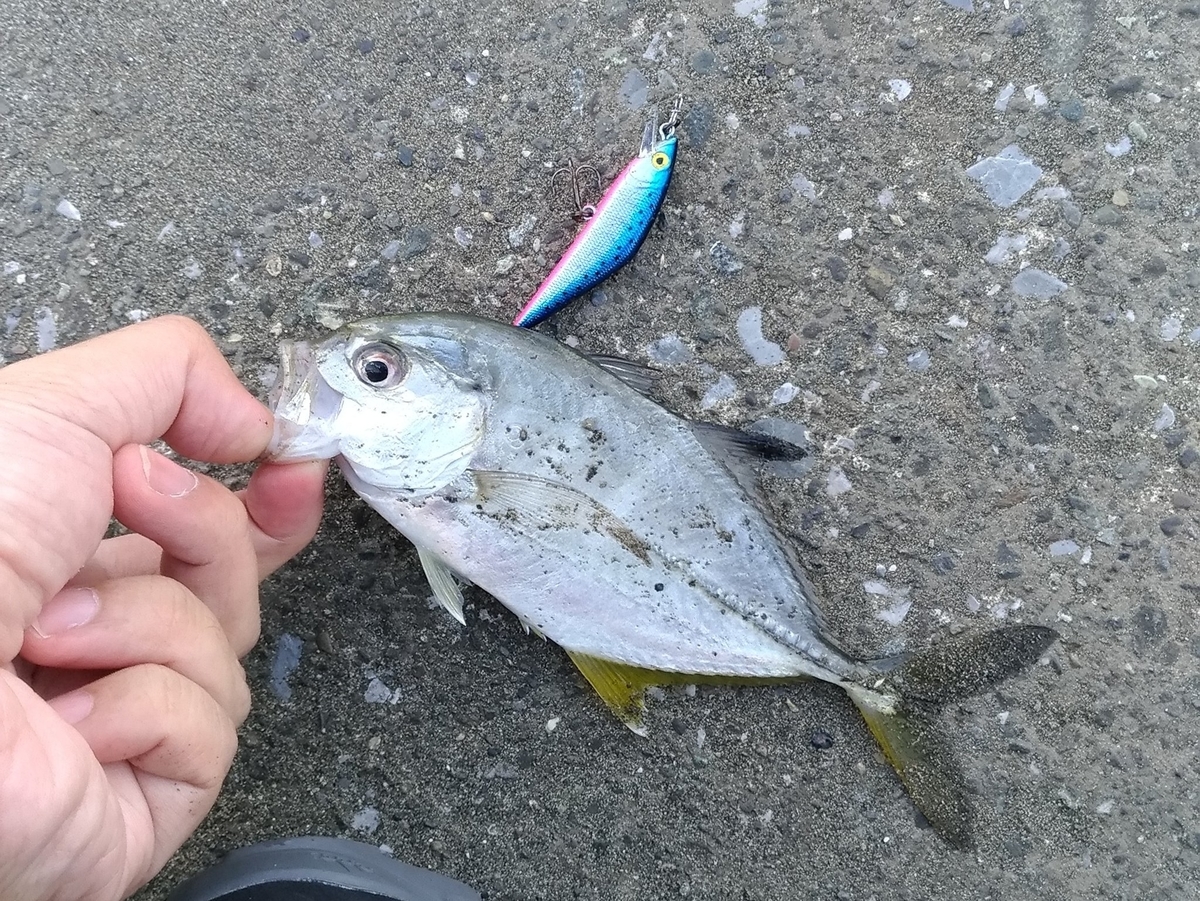 f:id:satoshi_cs12:20191029222004j:plain f:id:satoshi_cs12:20191029222004j:plain