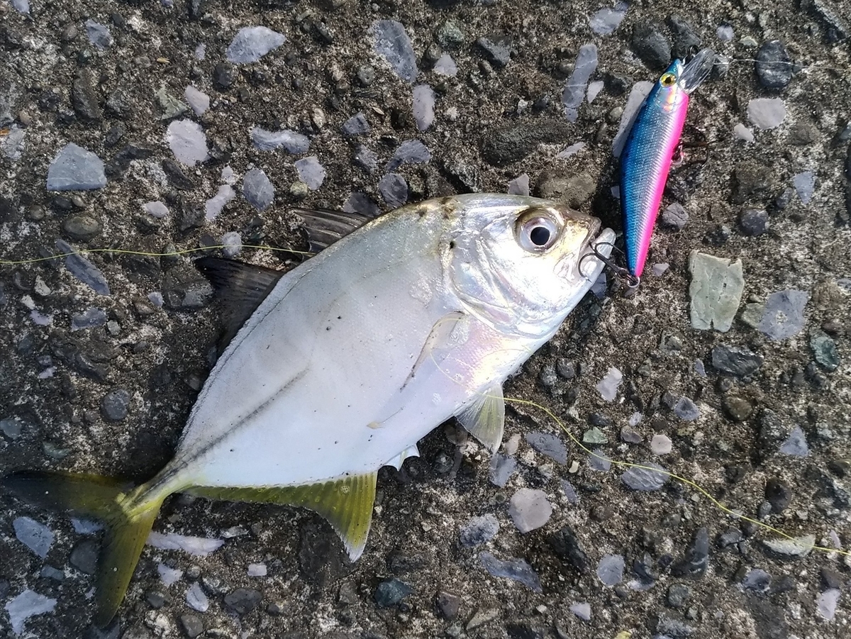 f:id:satoshi_cs12:20191029223233j:plain f:id:satoshi_cs12:20191029223233j:plain