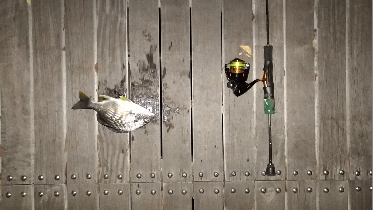 f:id:satoshi_cs12:20191213172206j:plain f:id:satoshi_cs12:20191213172206j:plain