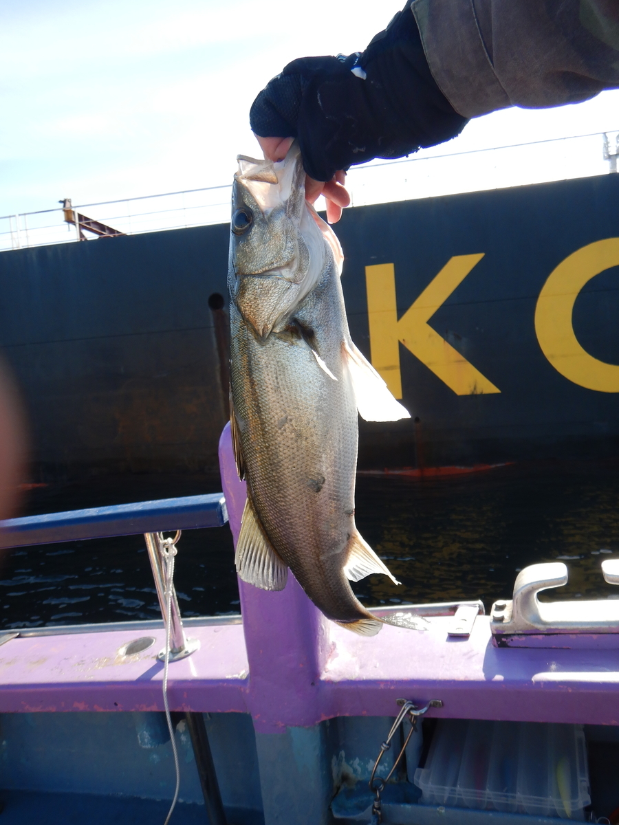 f:id:satoshi_cs12:20210104101225j:plain