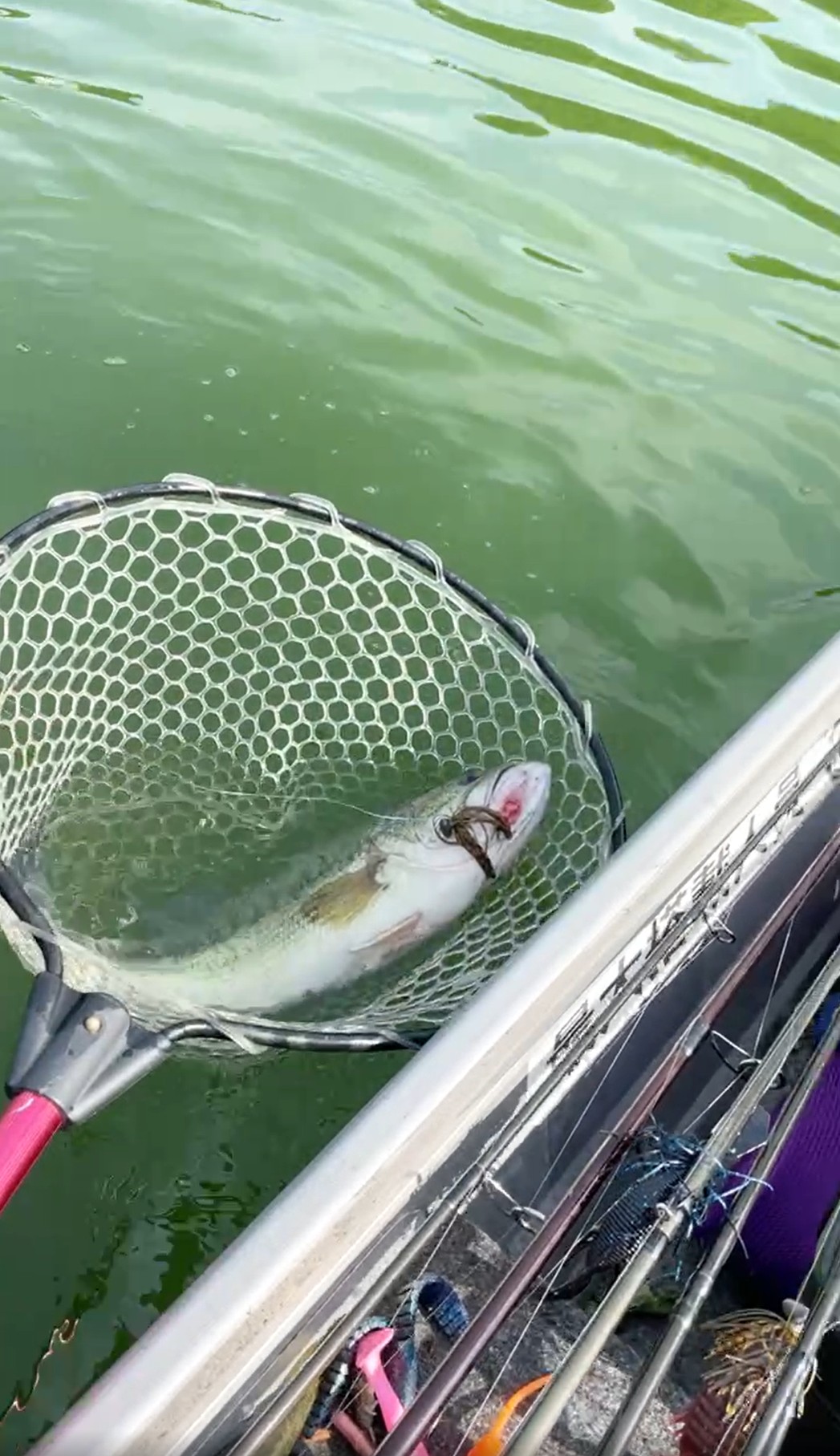 f:id:satoshi_cs12:20210617220634j:image