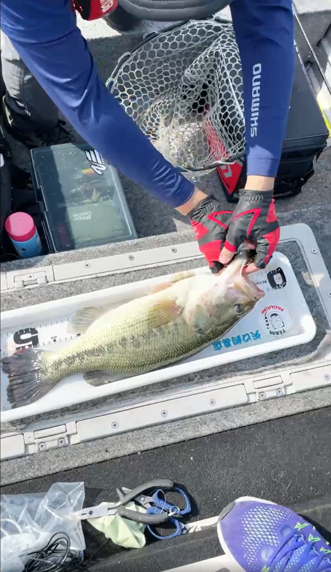 f:id:satoshi_cs12:20210617220720j:image