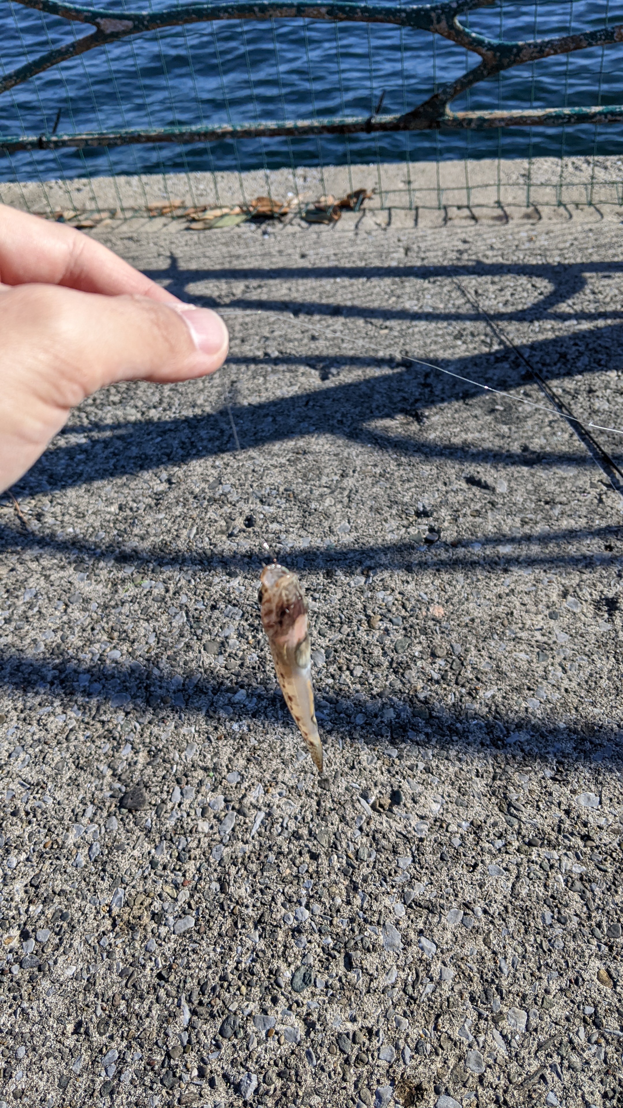 f:id:satoshi_cs12:20220105071643j:image f:id:satoshi_cs12:20220105071643j:image