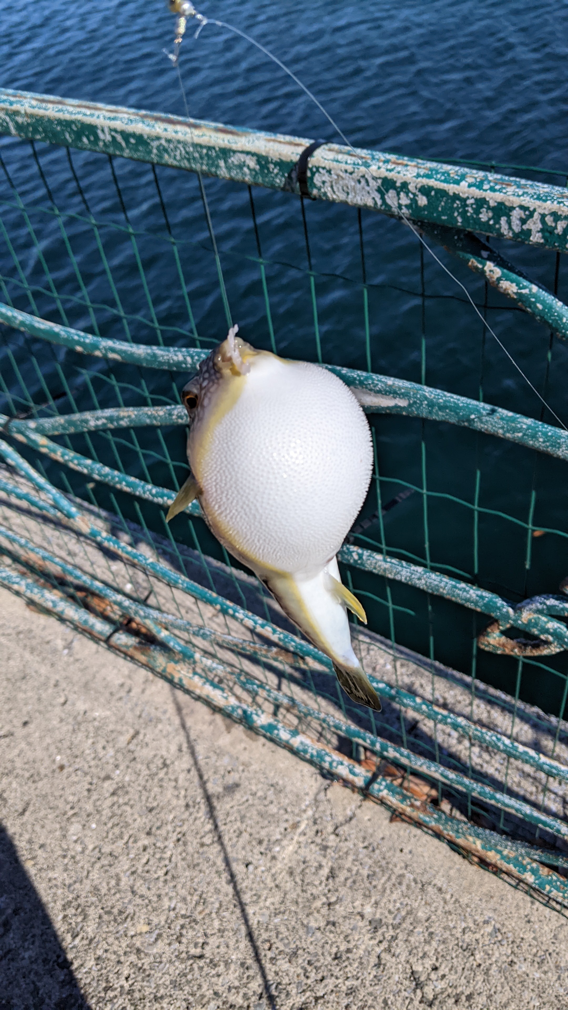 f:id:satoshi_cs12:20220105071658j:image f:id:satoshi_cs12:20220105071658j:image