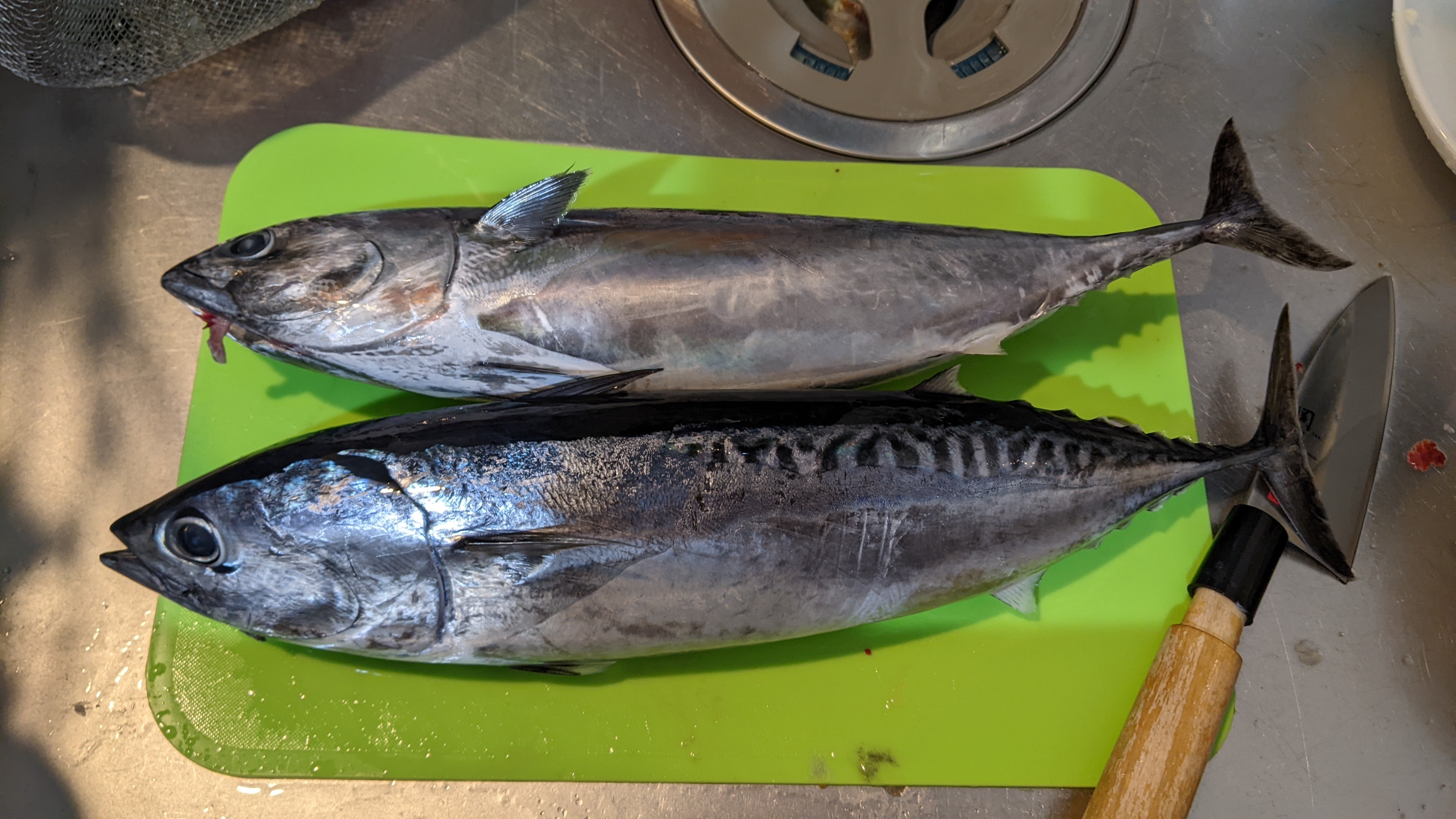 f:id:satoshi_cs12:20220114103807j:image