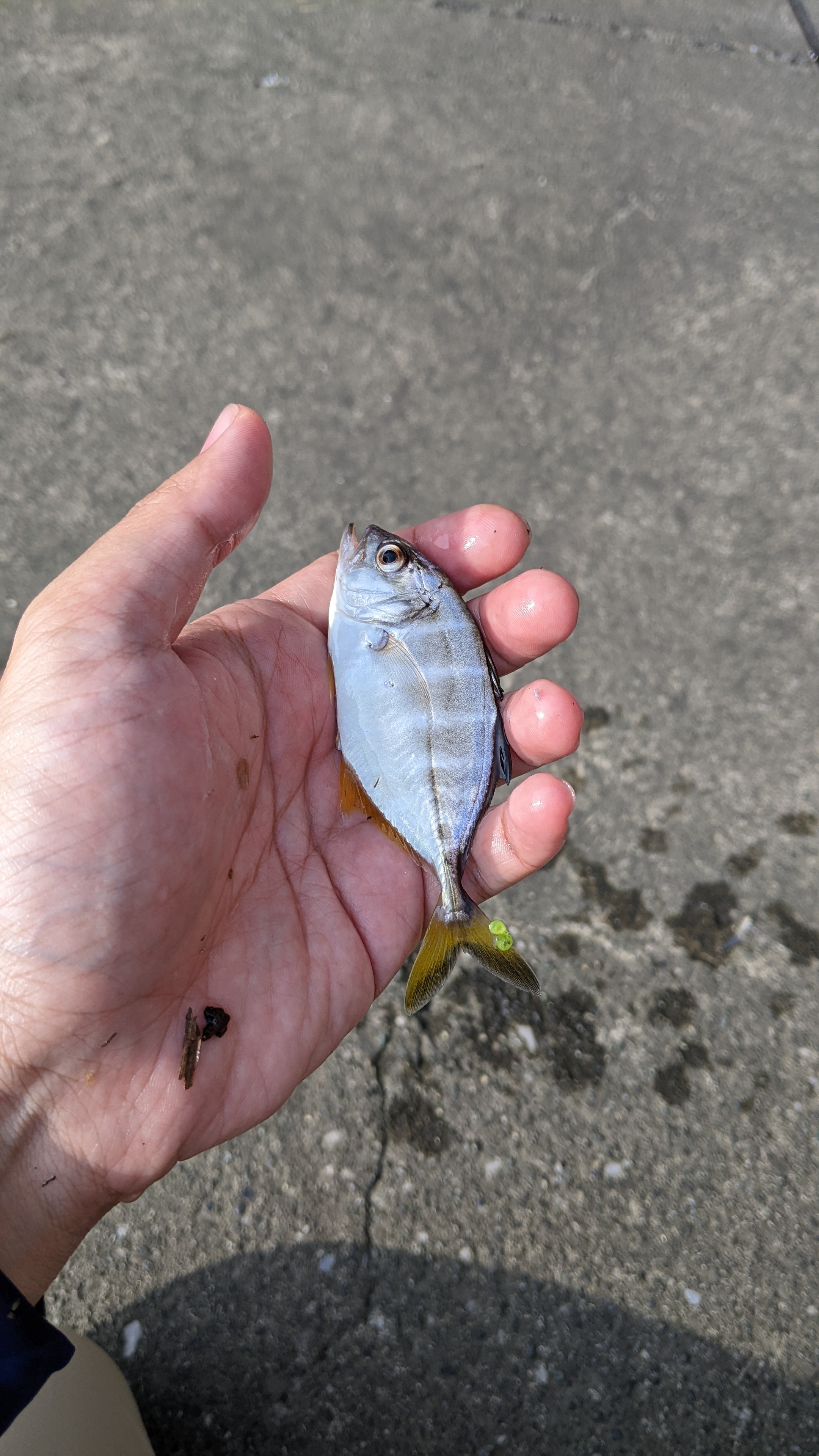 f:id:satoshi_cs12:20220826182511j:image f:id:satoshi_cs12:20220826182511j:image