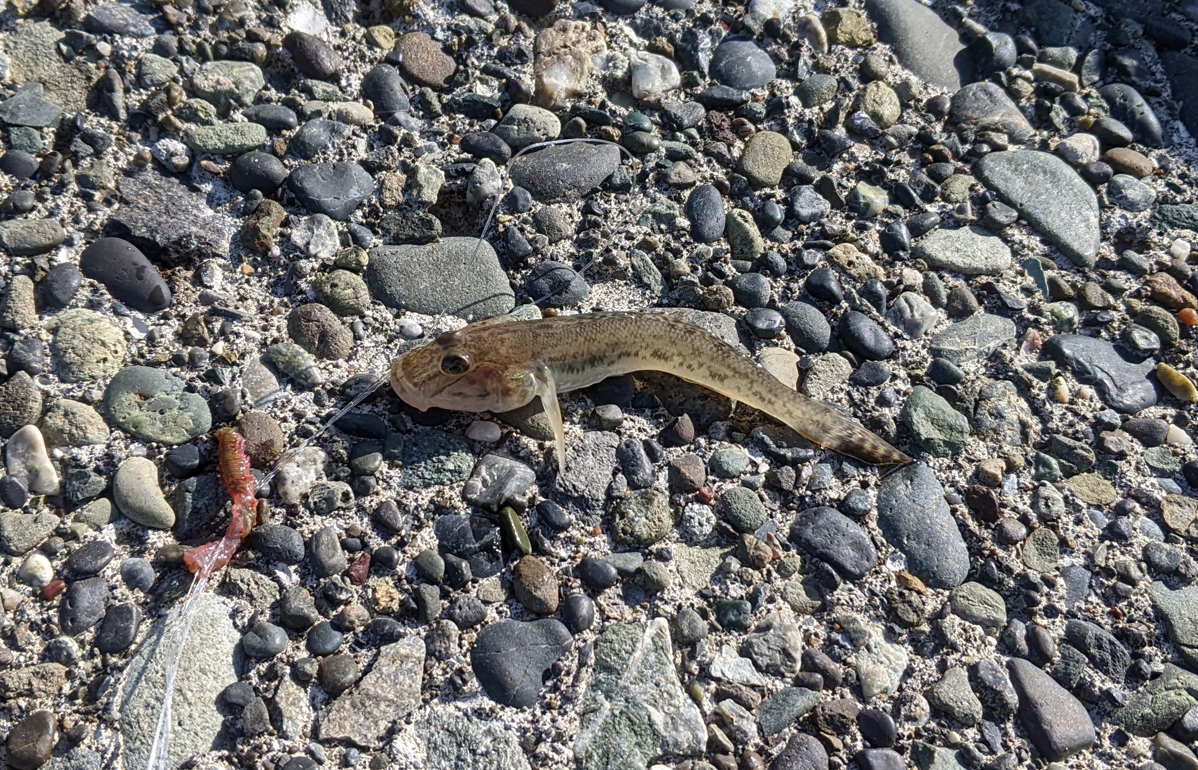 f:id:satoshi_cs12:20221107212647j:image f:id:satoshi_cs12:20221107212647j:image