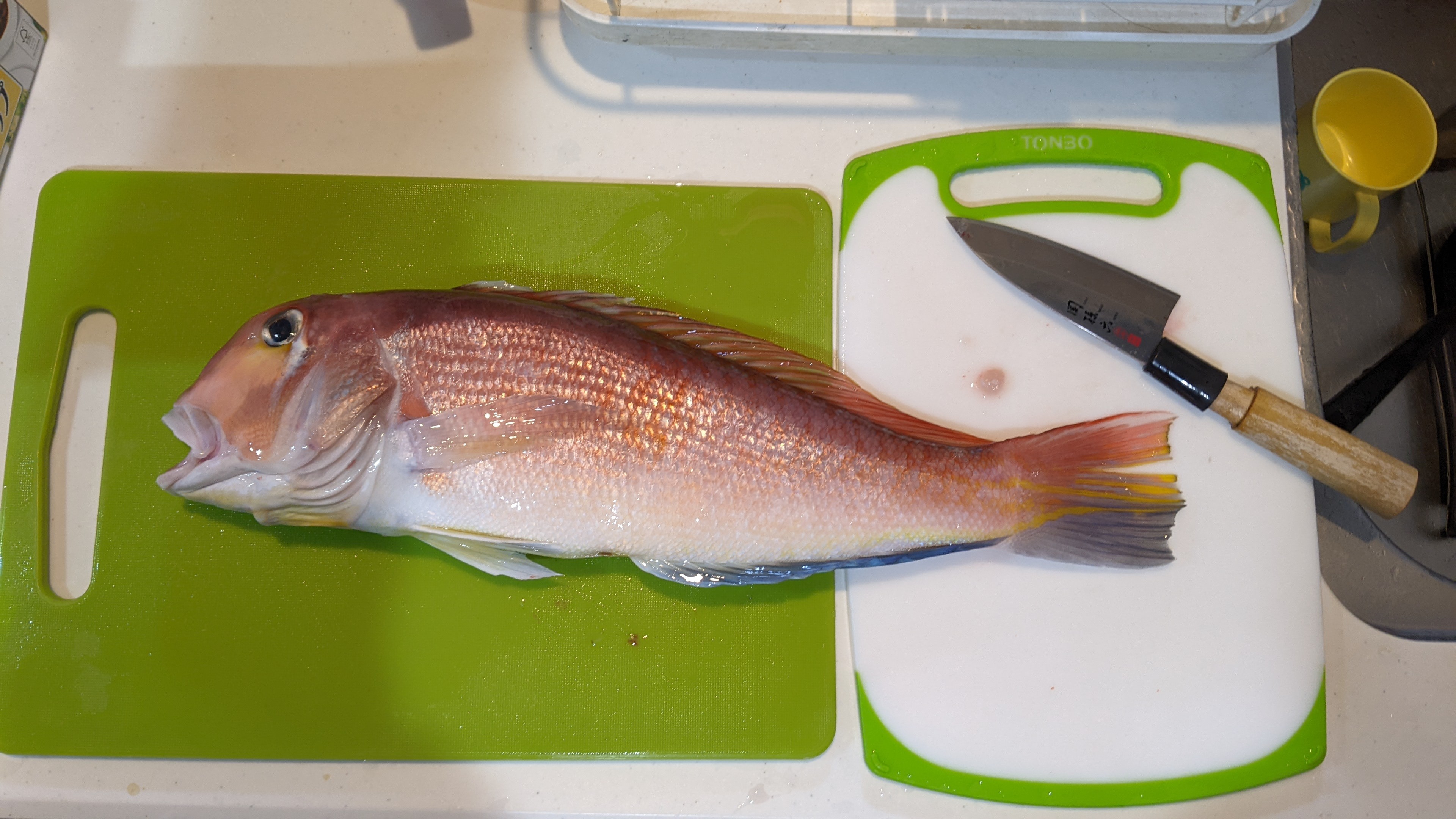 f:id:satoshi_cs12:20221228214244j:image f:id:satoshi_cs12:20221228214244j:image