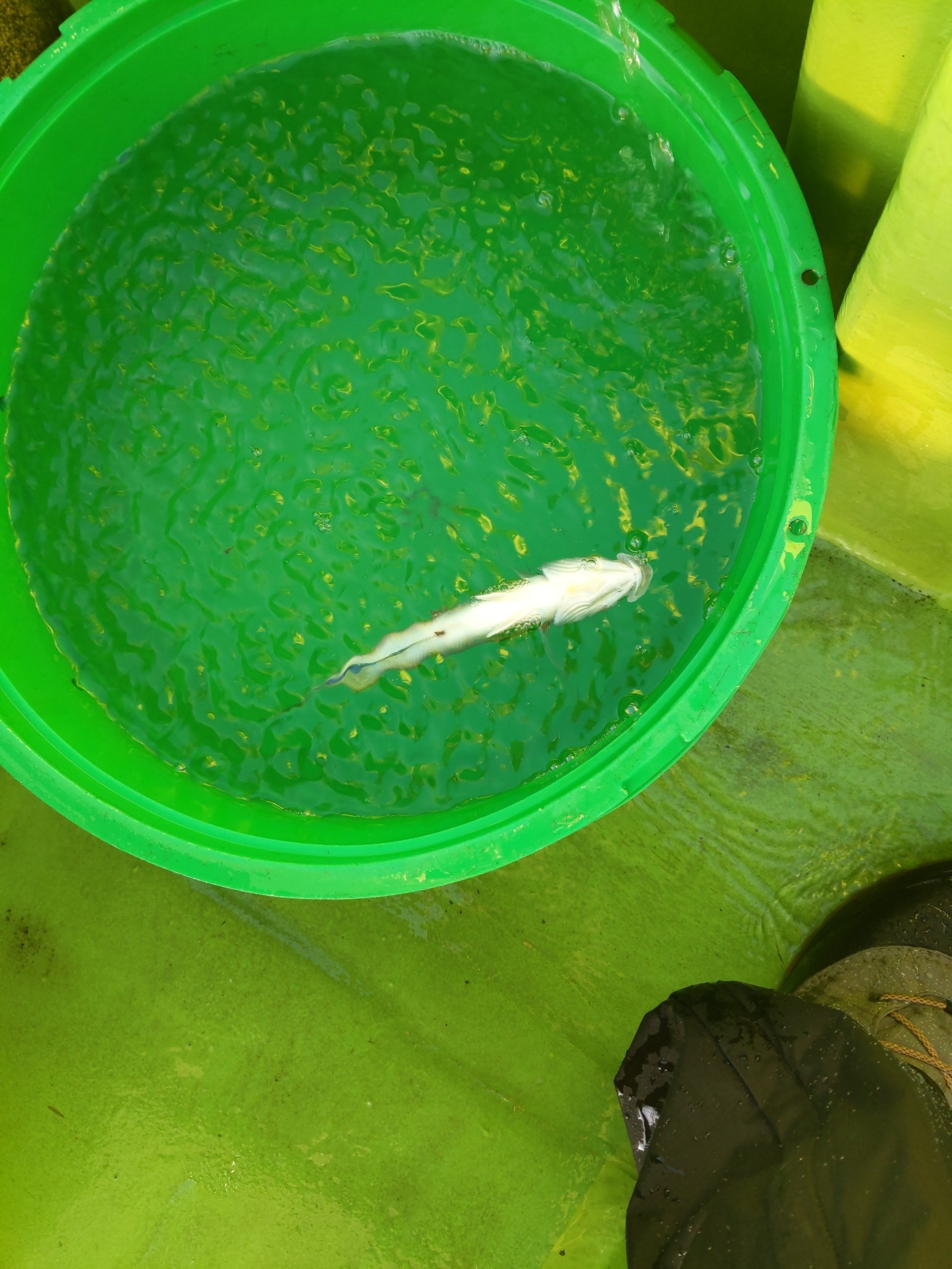 f:id:satoshi_cs12:20221228221058j:image f:id:satoshi_cs12:20221228221058j:image