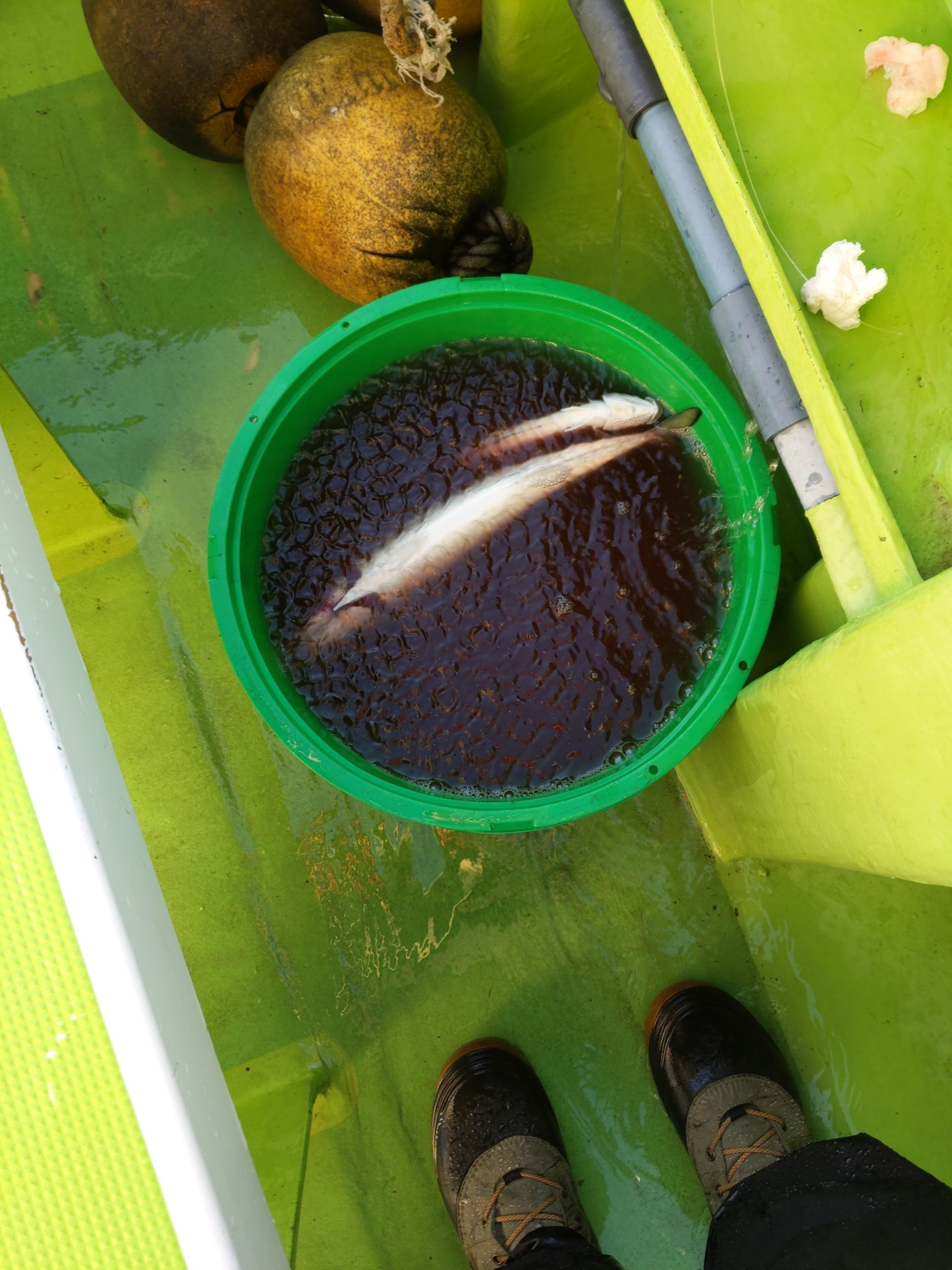 f:id:satoshi_cs12:20221228221312j:image f:id:satoshi_cs12:20221228221312j:image