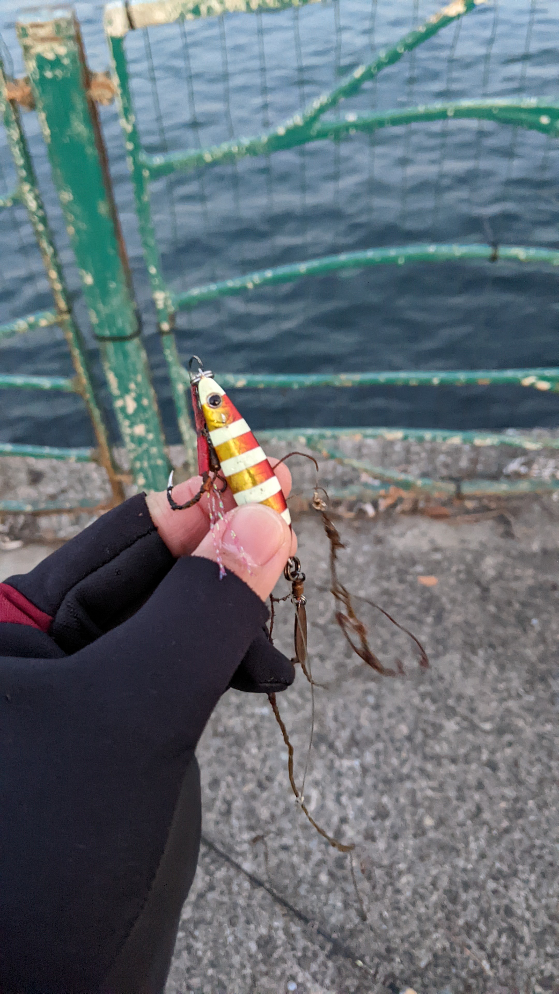 f:id:satoshi_cs12:20230116063152j:image