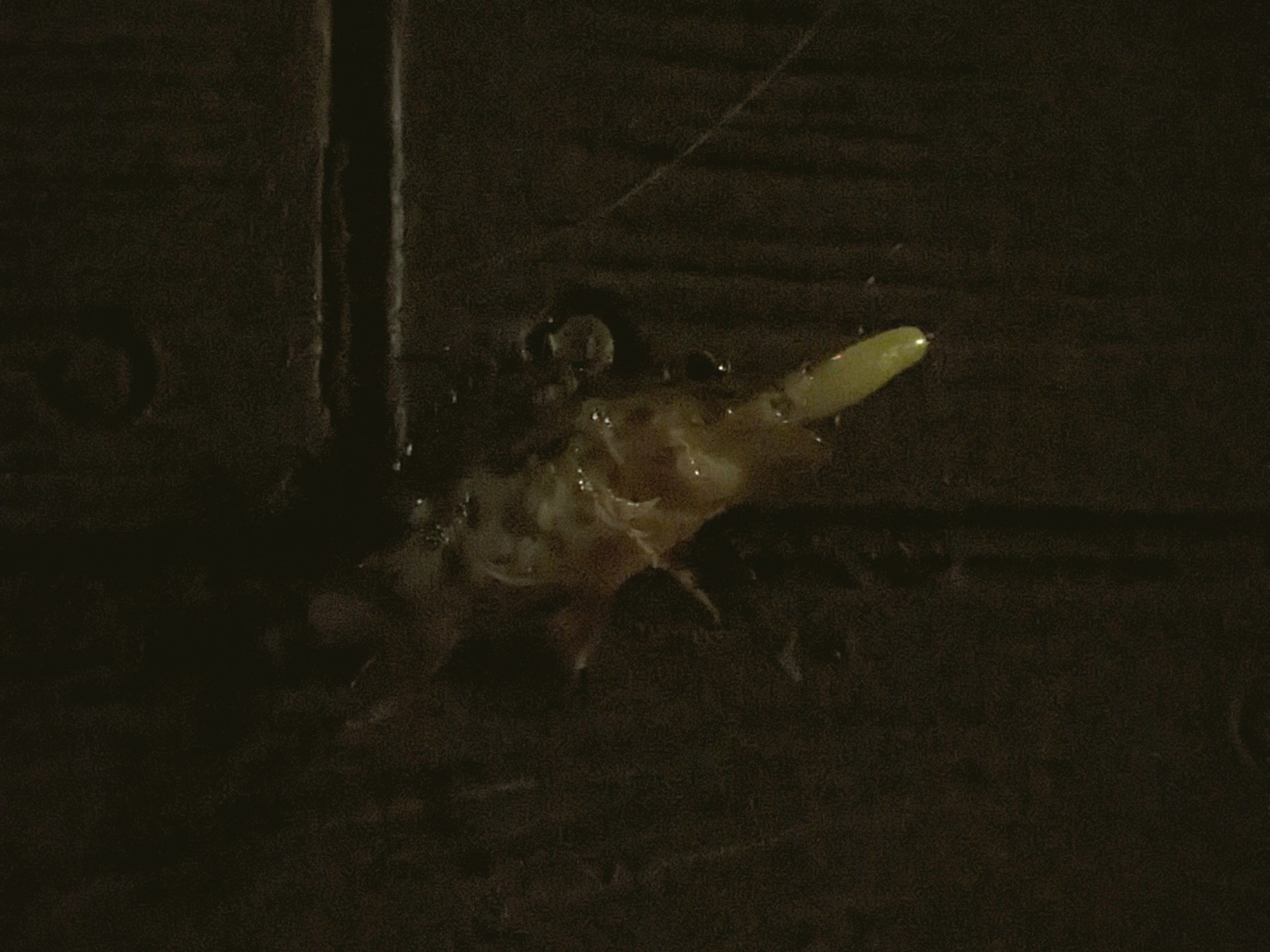 f:id:satoshi_cs12:20230131212404j:image