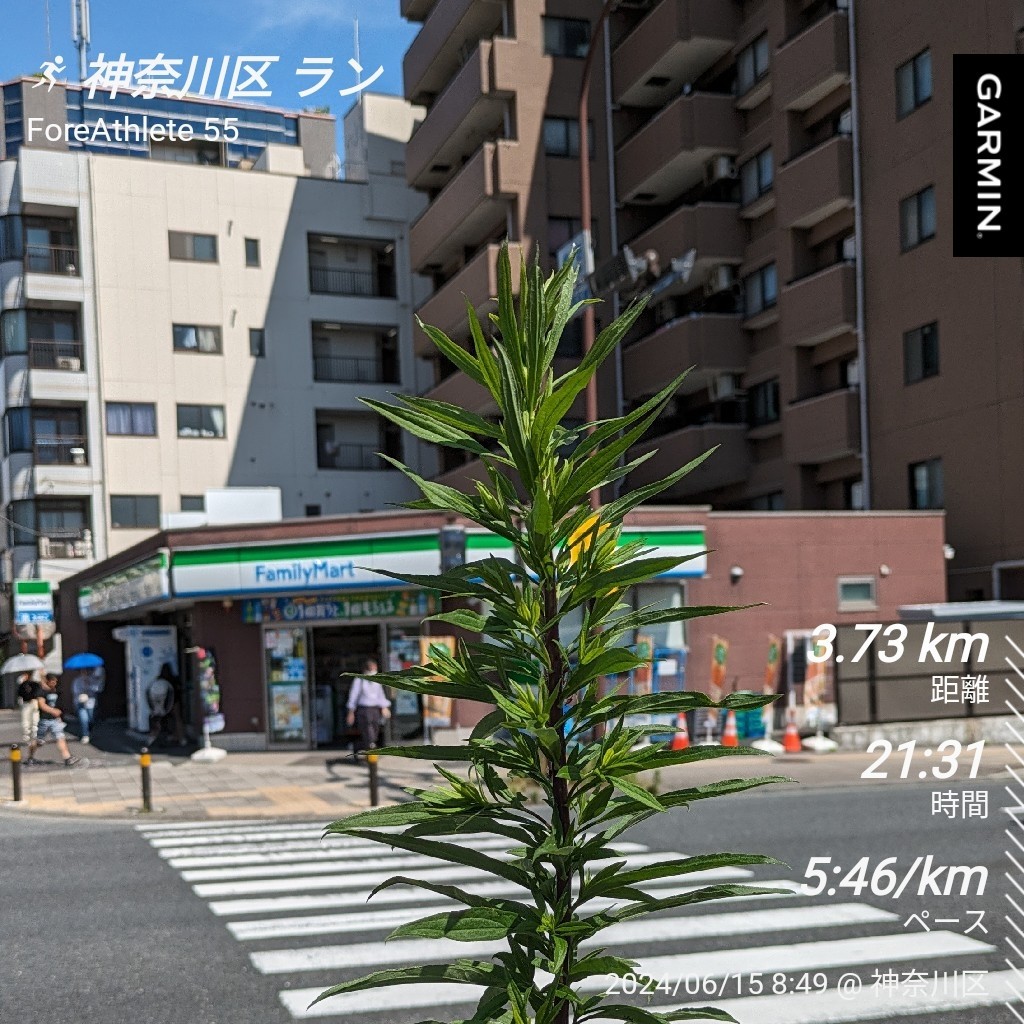 f:id:satoshi_cs12:20240616065036j:image