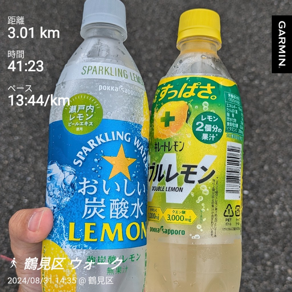 f:id:satoshi_cs12:20240831173240j:image f:id:satoshi_cs12:20240831173240j:image