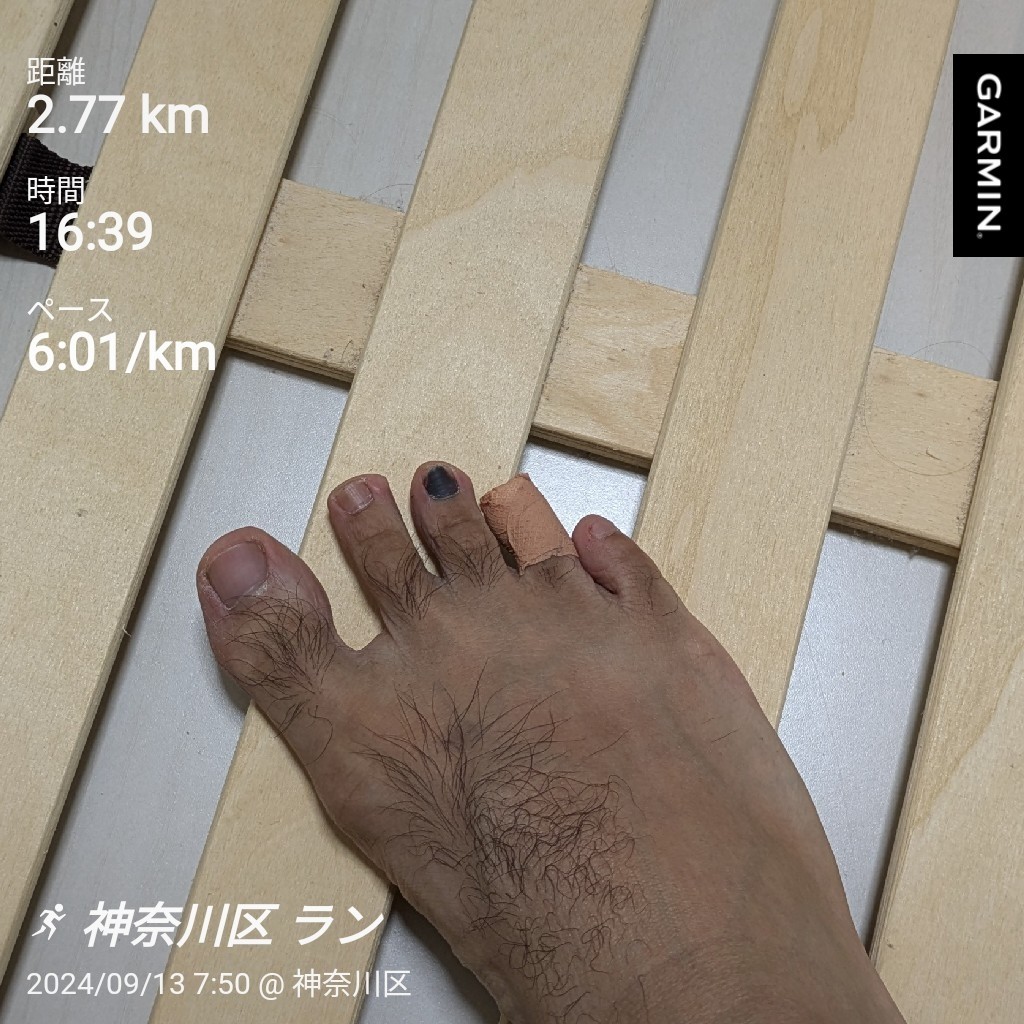 f:id:satoshi_cs12:20240913213637j:image f:id:satoshi_cs12:20240913213637j:image