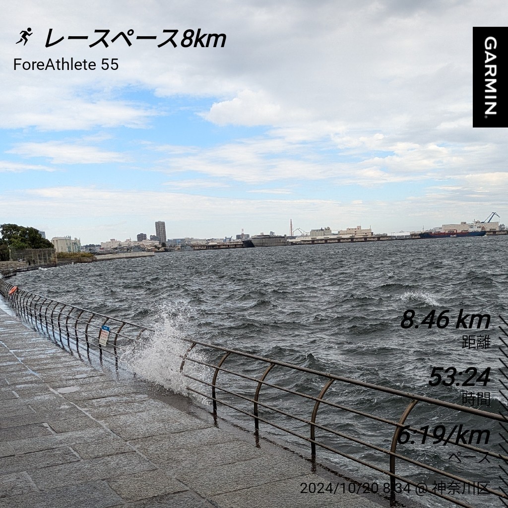 f:id:satoshi_cs12:20241020132705j:image