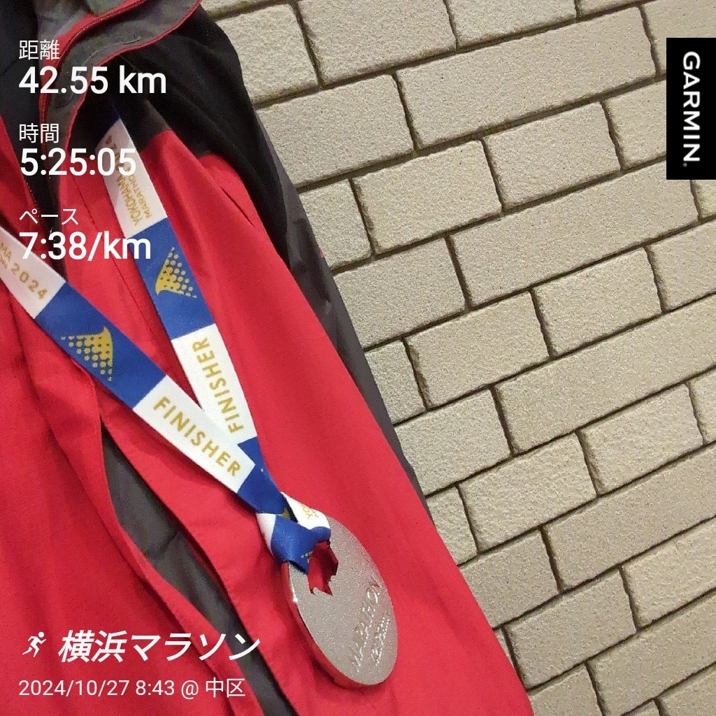 f:id:satoshi_cs12:20241028105422j:image