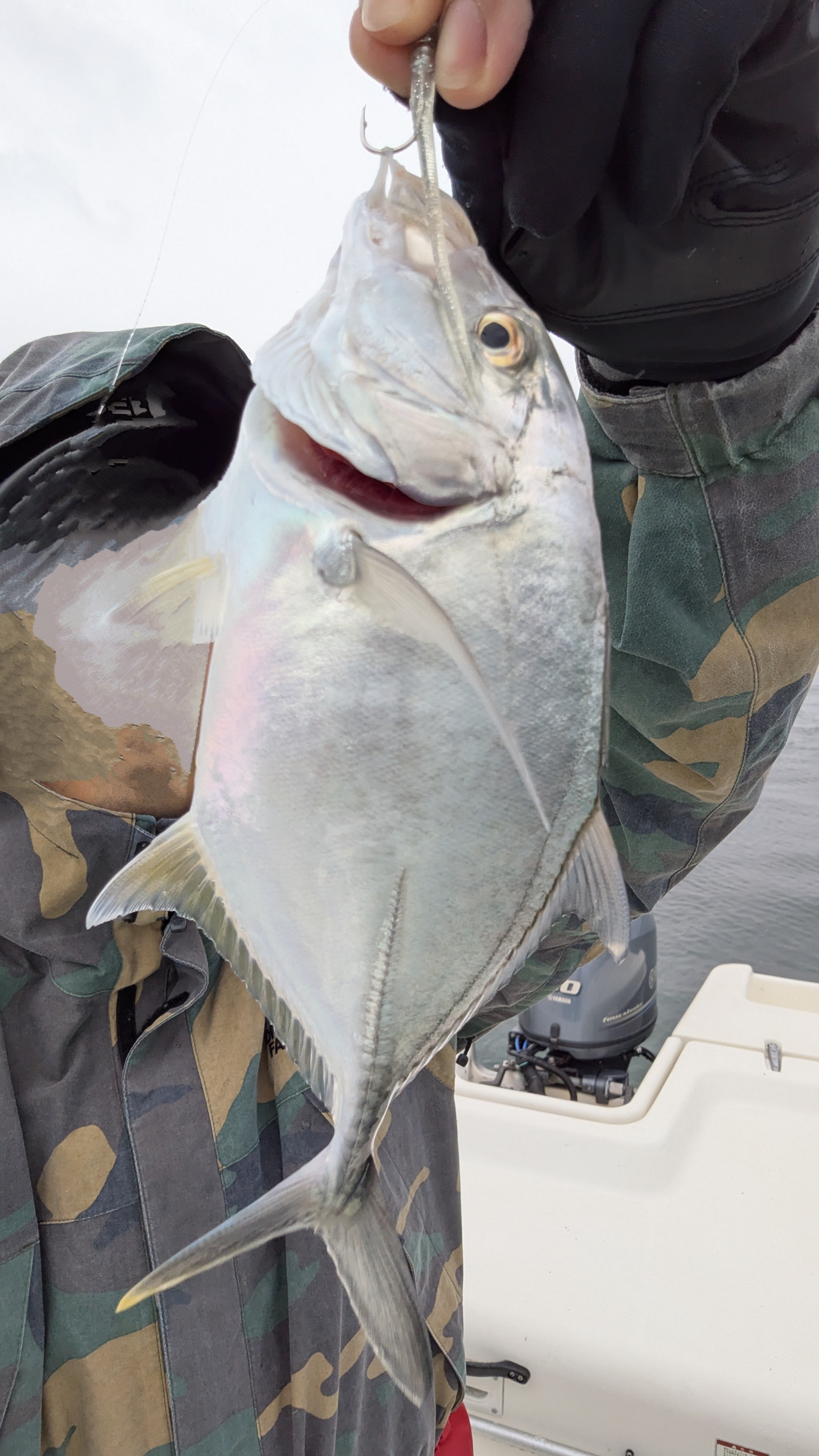 f:id:satoshi_cs12:20241130134534j:image