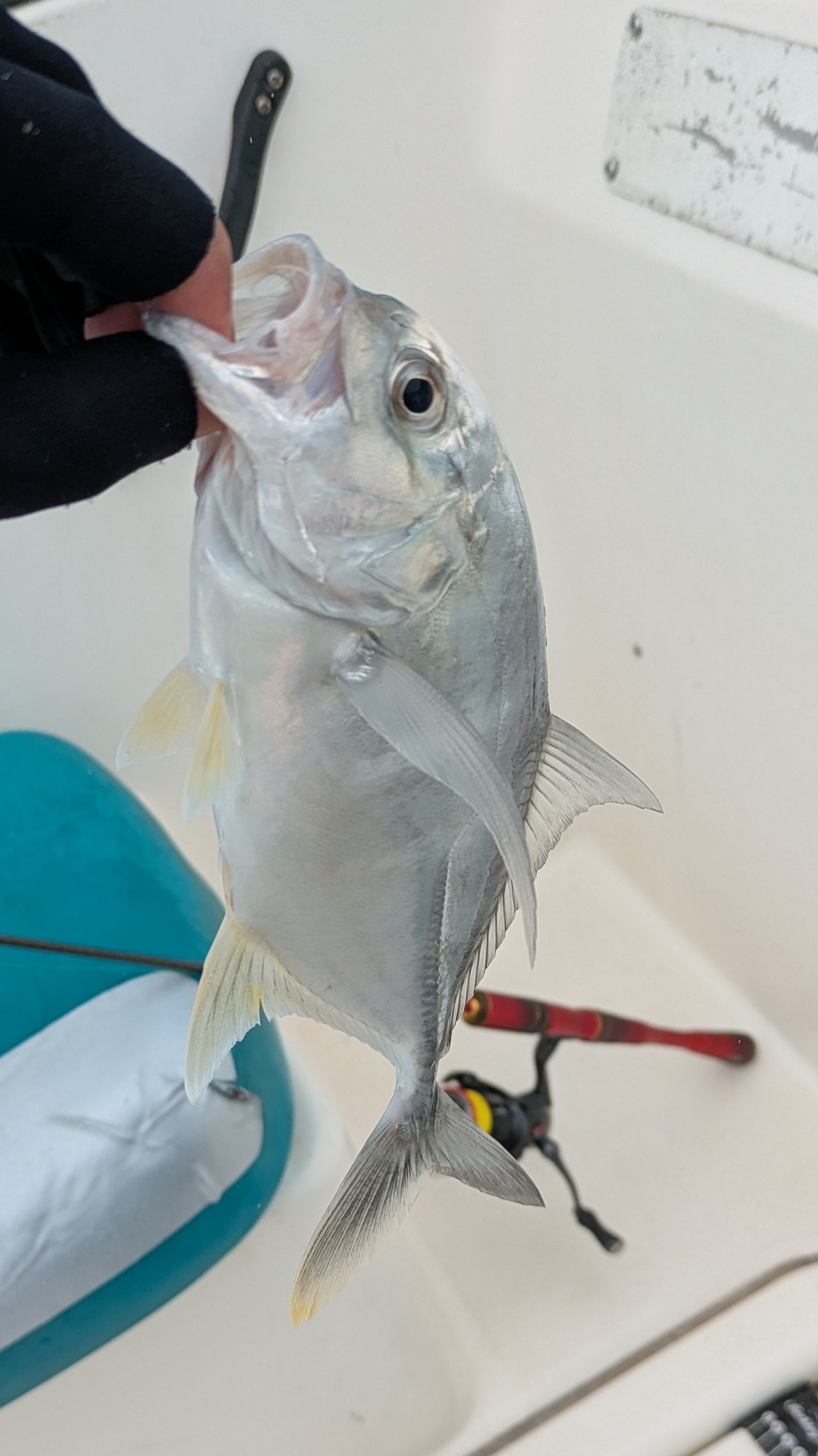 f:id:satoshi_cs12:20241130134557j:image