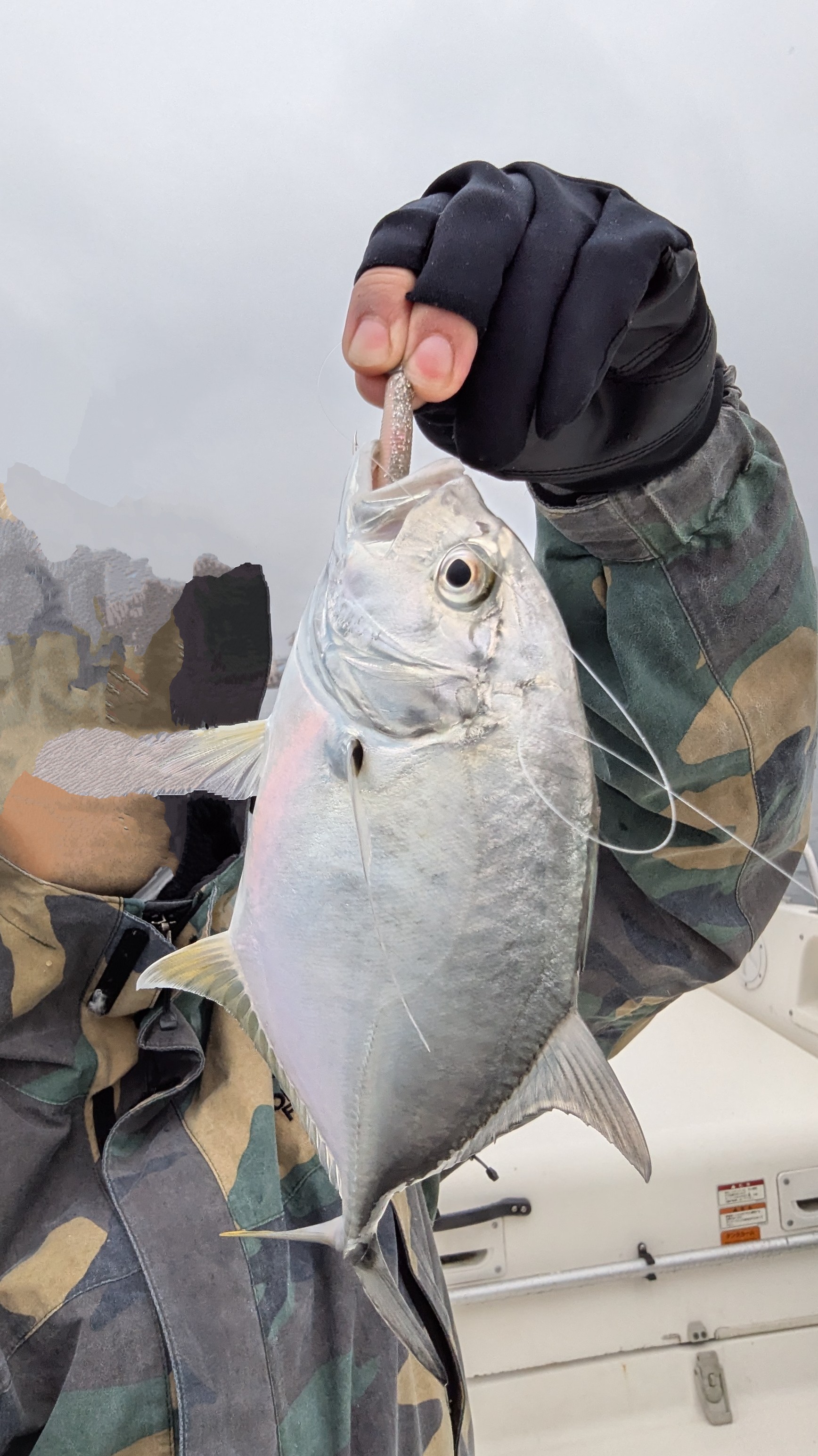 f:id:satoshi_cs12:20241130134607j:image