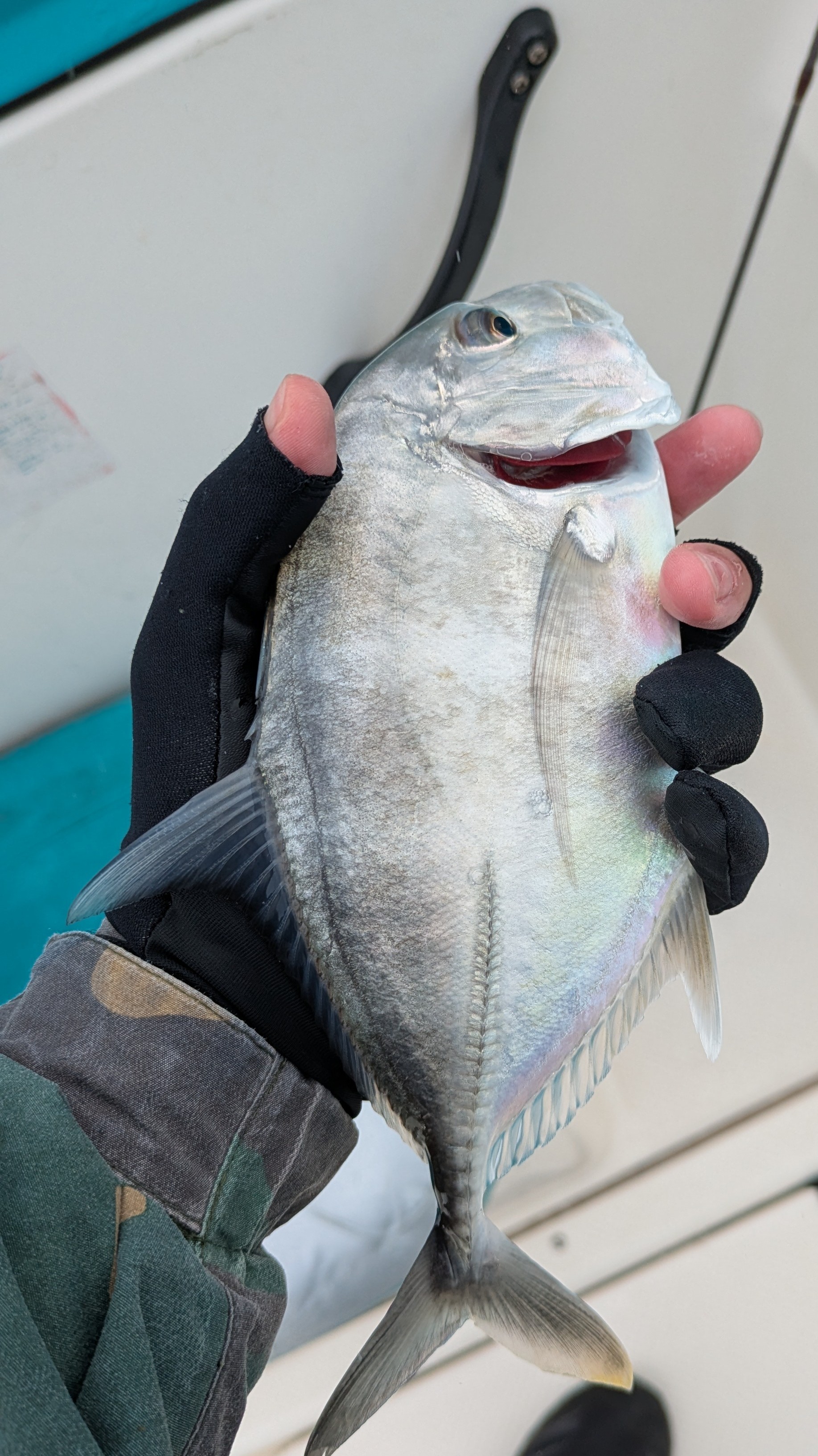 f:id:satoshi_cs12:20241130134616j:image