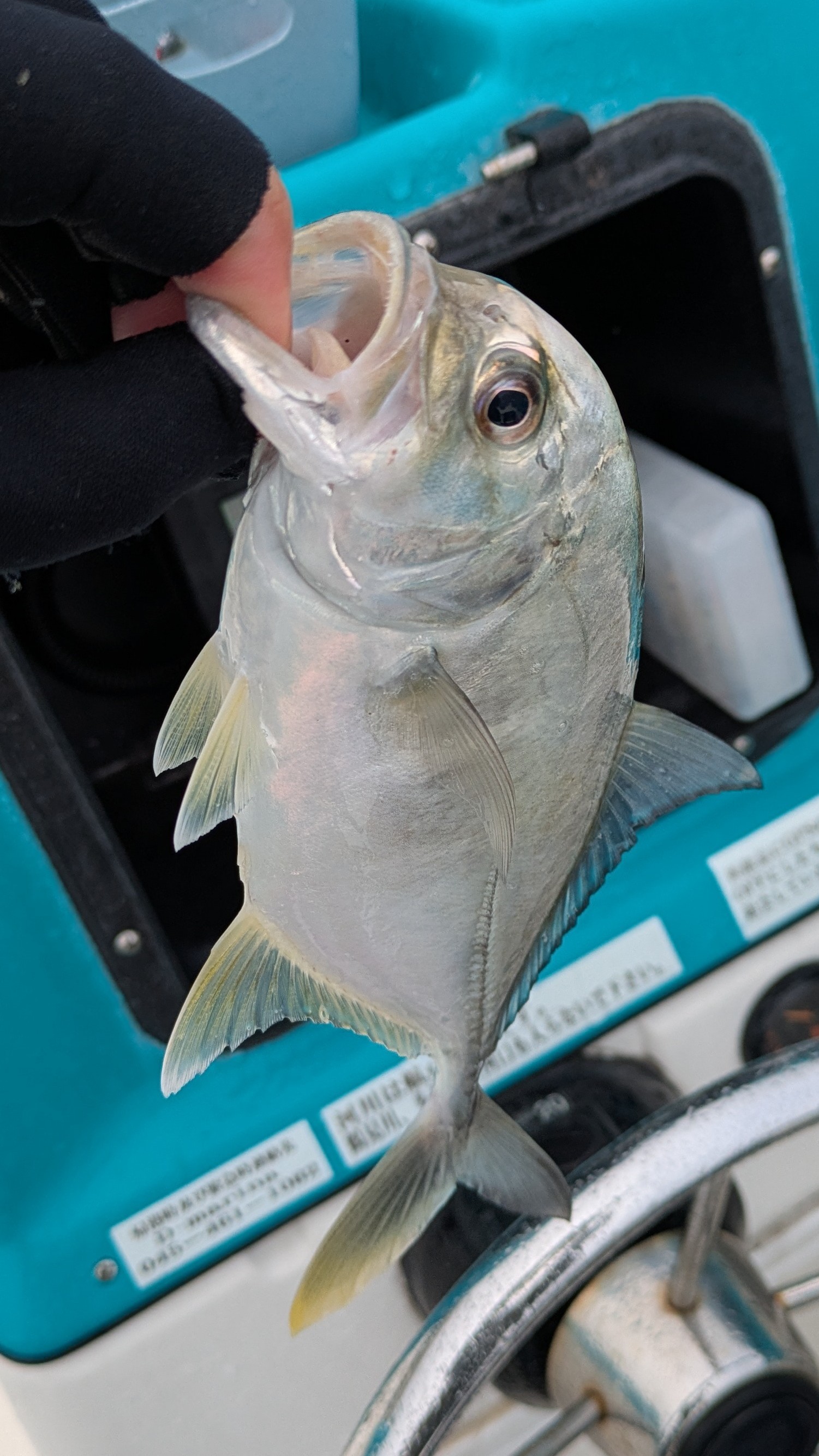 f:id:satoshi_cs12:20241130134630j:image