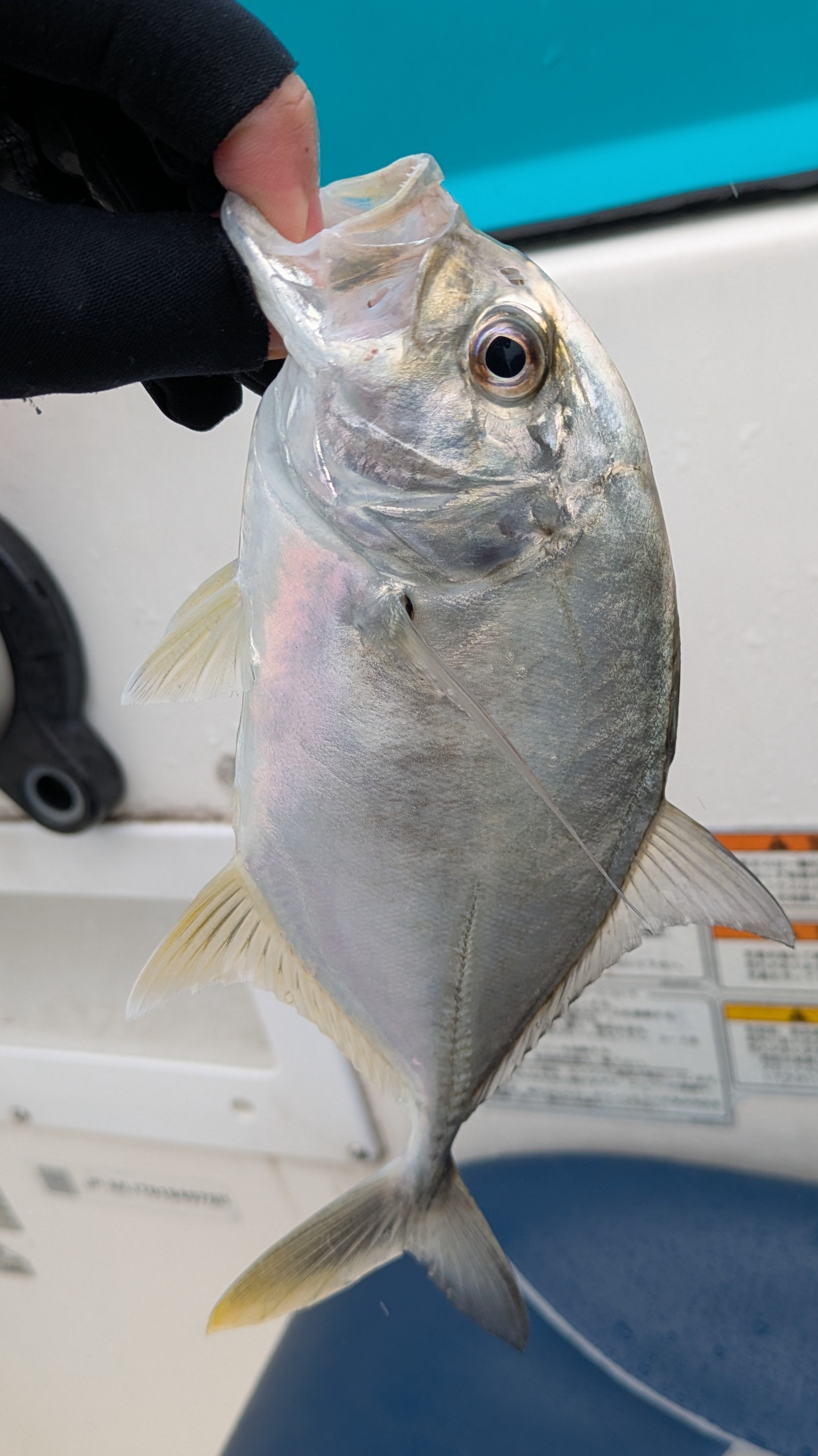 f:id:satoshi_cs12:20241130134640j:image