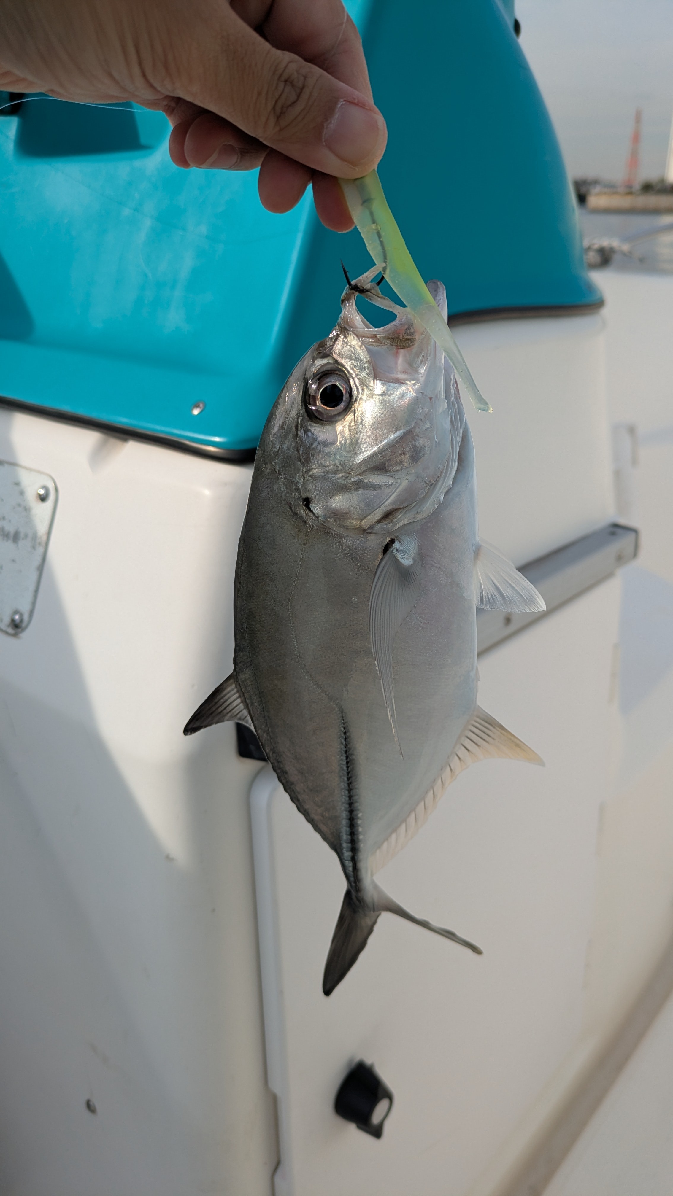 f:id:satoshi_cs12:20241206071125j:image f:id:satoshi_cs12:20241206071125j:image