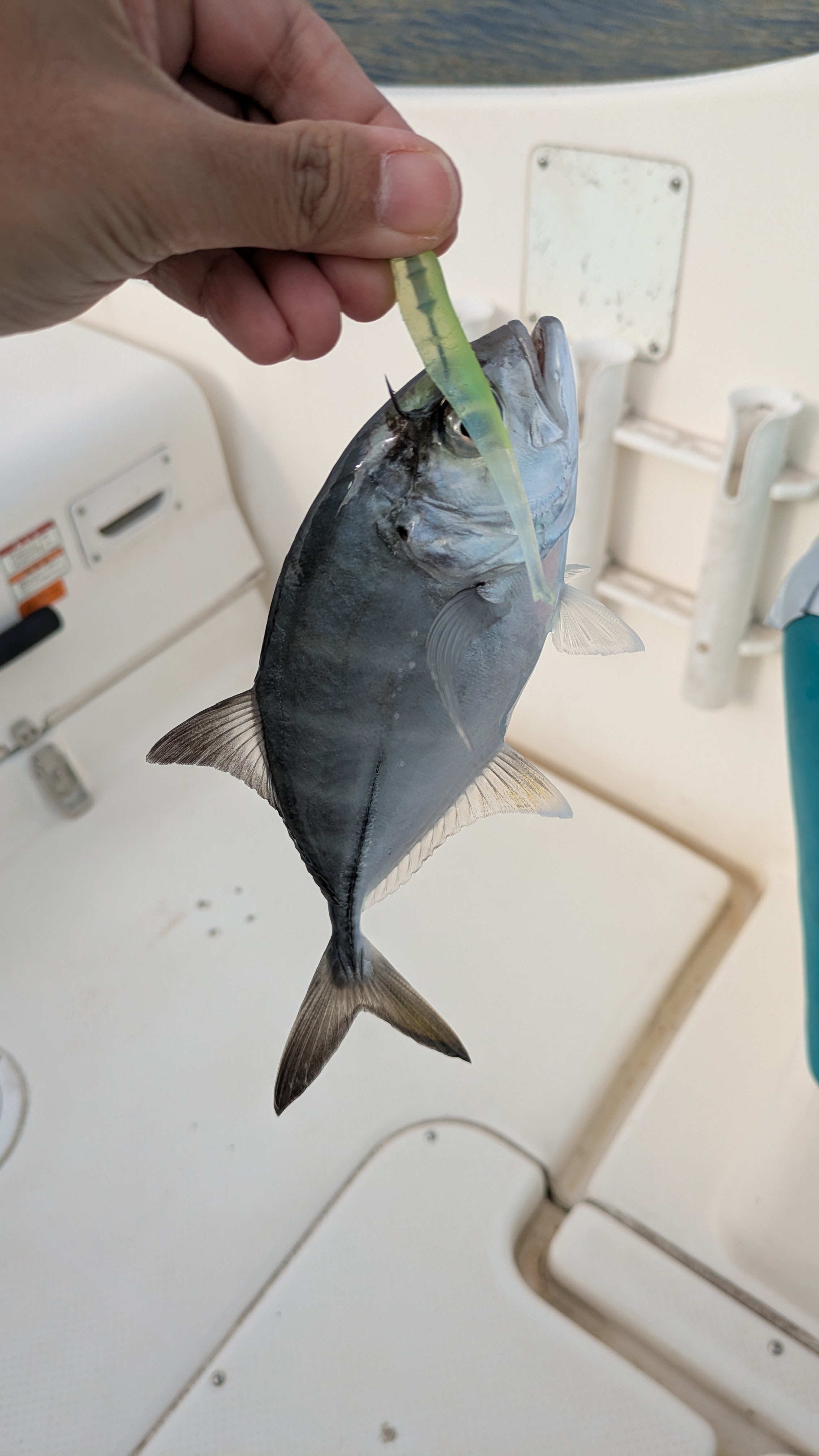 f:id:satoshi_cs12:20241206071154j:image f:id:satoshi_cs12:20241206071154j:image